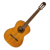 Guitarra clásica Takamine Color natural GC1 NT